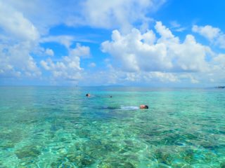 【半日】地域クーポン対象！奇跡の島でウミガメと泳ごう！バラス島ボートシュノーケリング