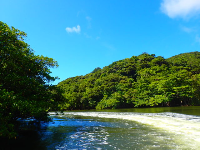 ジャングル川