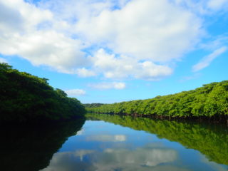 沖縄最大の落差！西表島のシンボル「ピナイサーラの滝」を目指すカヌーツアー