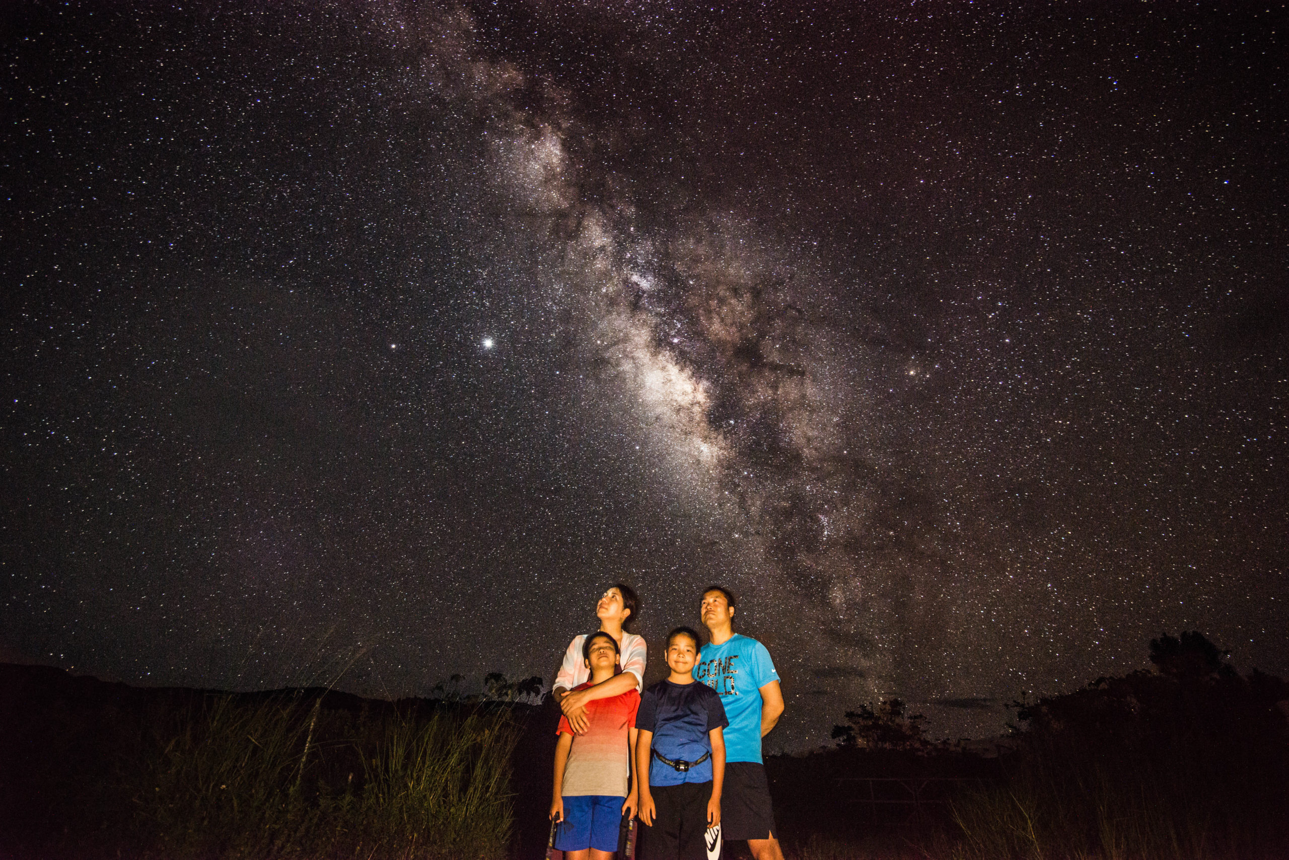 夜 天然プラネタリウム 南国のレア生物 西表島星空 ジャングルナイトツアー 西表島 Adventure Pipi ピピ