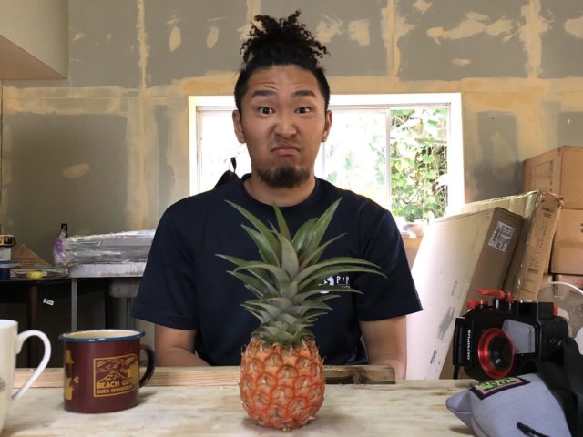 パイナップルに髪型がそっくりな藤山拓也