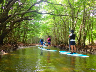 【1日】2つの川で自然体験！サンガラの滝SUP/カヌー&キャニオニング