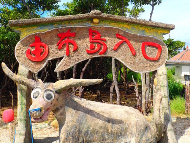 西表島から水牛に乗って行ける由布島！その魅力を現地在住スタッフが