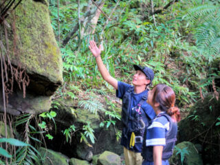 【半日】サンガラの滝を目指す！マングローブSUP＆トレッキング探検！