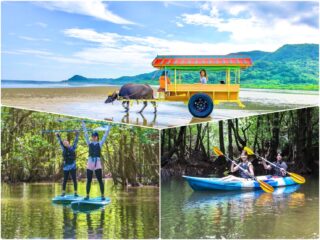 【1日】観光とアクティビティがお得なセットに！由布島観光&マングローブSUP/カヌー