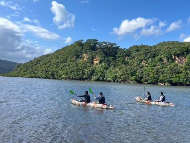 マングローブカヌー