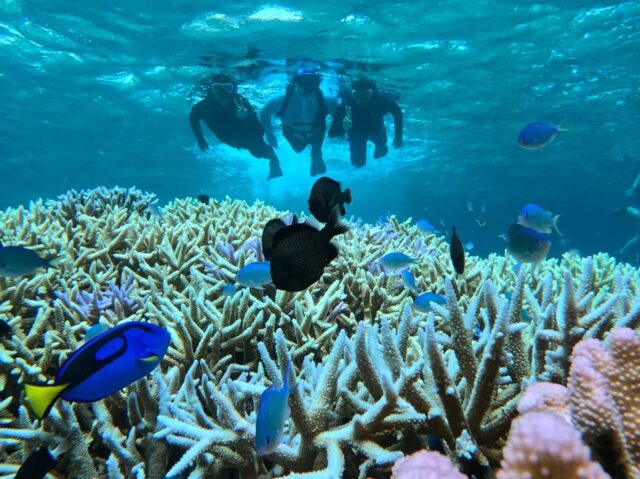 バラス シュノーケリング