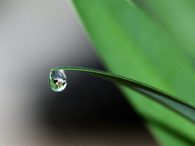 雨
