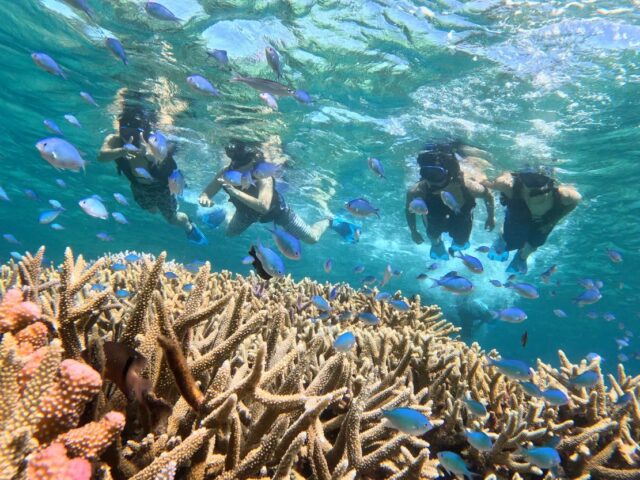 西表島　バラスシュノーケル