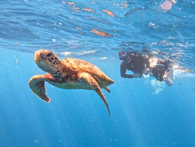 バラス島　シュノーケリング