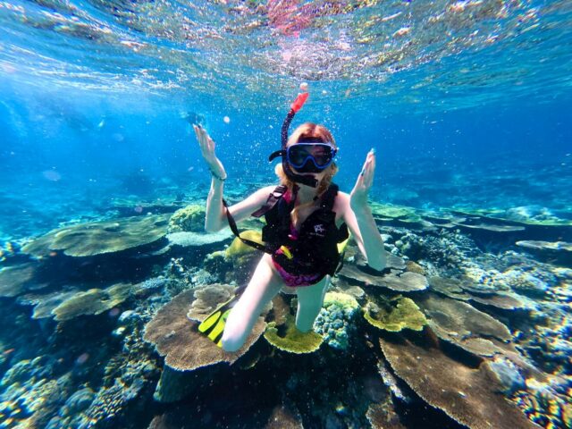 バラス　シュノーケル