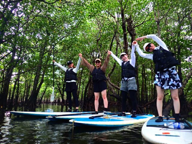 マングローブ　浦内川　SUP