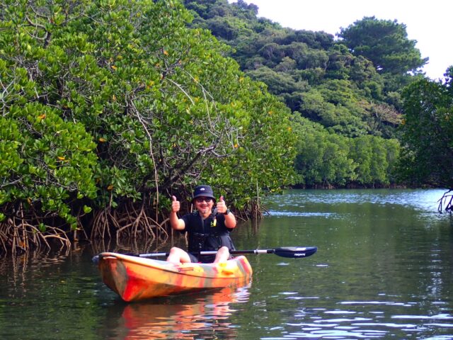 マングローブ　浦内川　カヌー