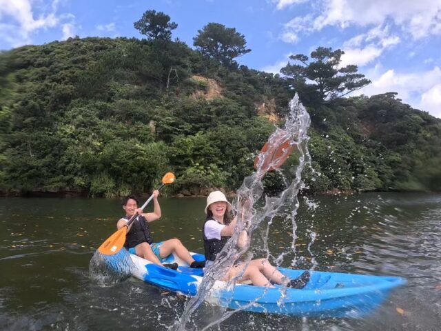 浦内川 マングローブ　カヌー