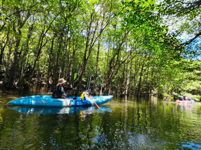 マングローブカヌー