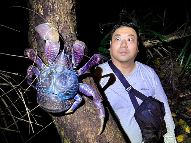 ナイトツアー ヤシガニ