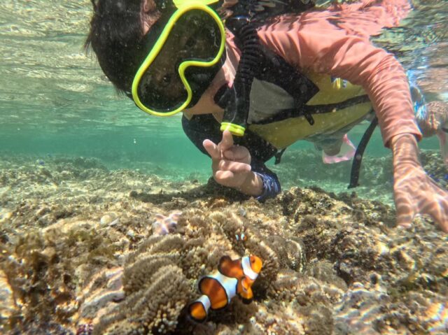 西表島 シュノーケリング