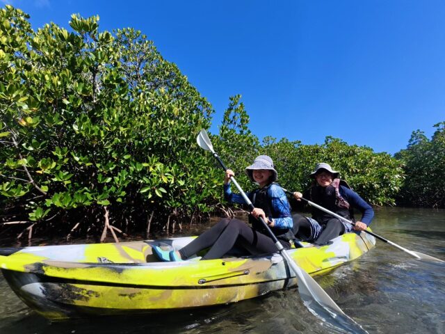 マングローブカヌー