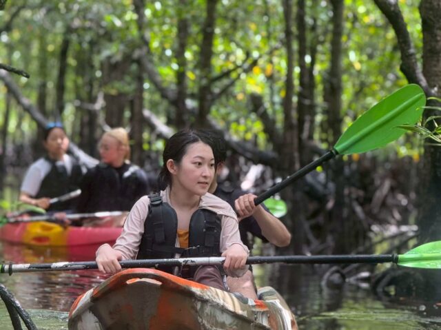 マングローブカヌー