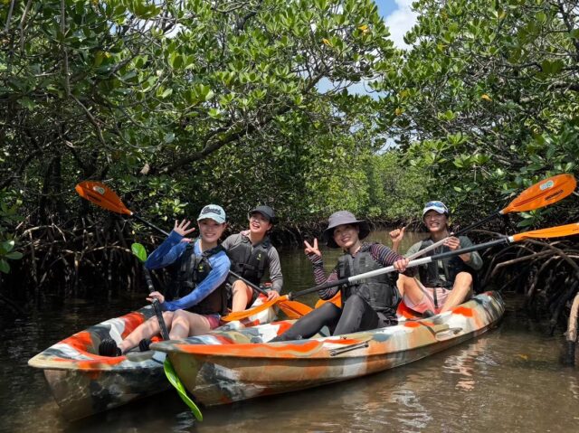 浦内川 マングローブカヌー