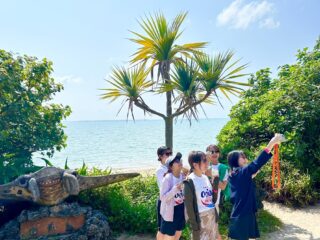 【1日】観光×アクティビティ！大迫力キャニオニング＆由布島観光