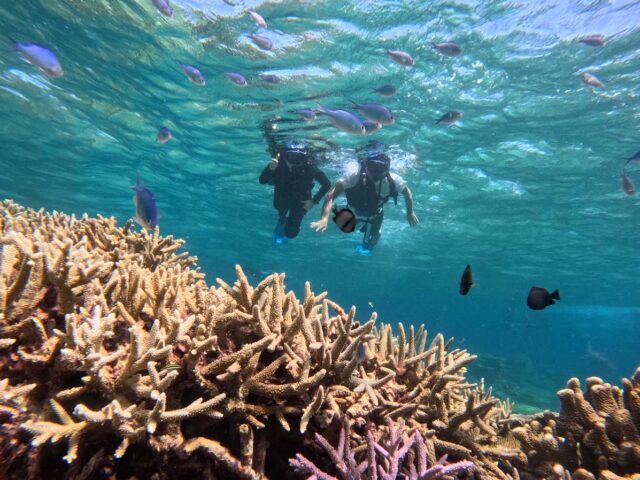 バラス　シュノーケリング