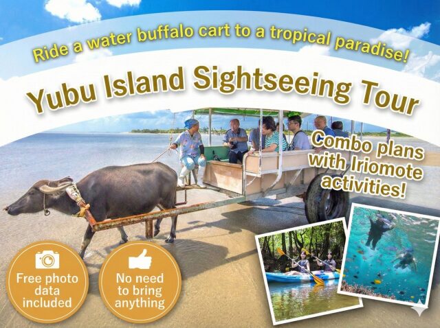 西表島の水牛車(由布島観光)