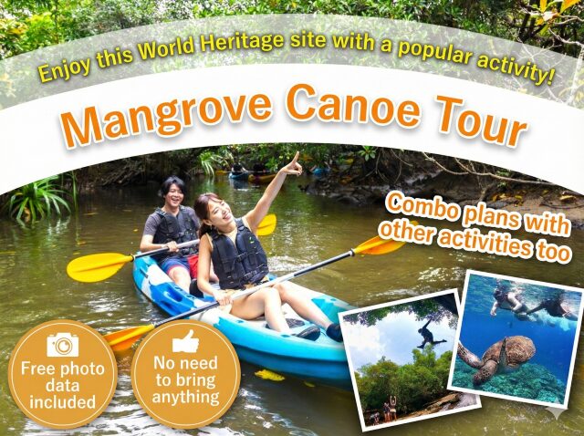 西表島のカヌー