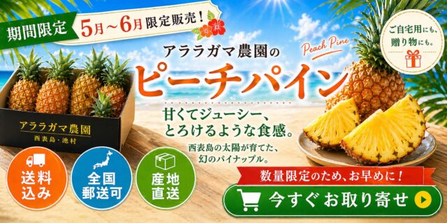 パイナップル　オンラインショップ